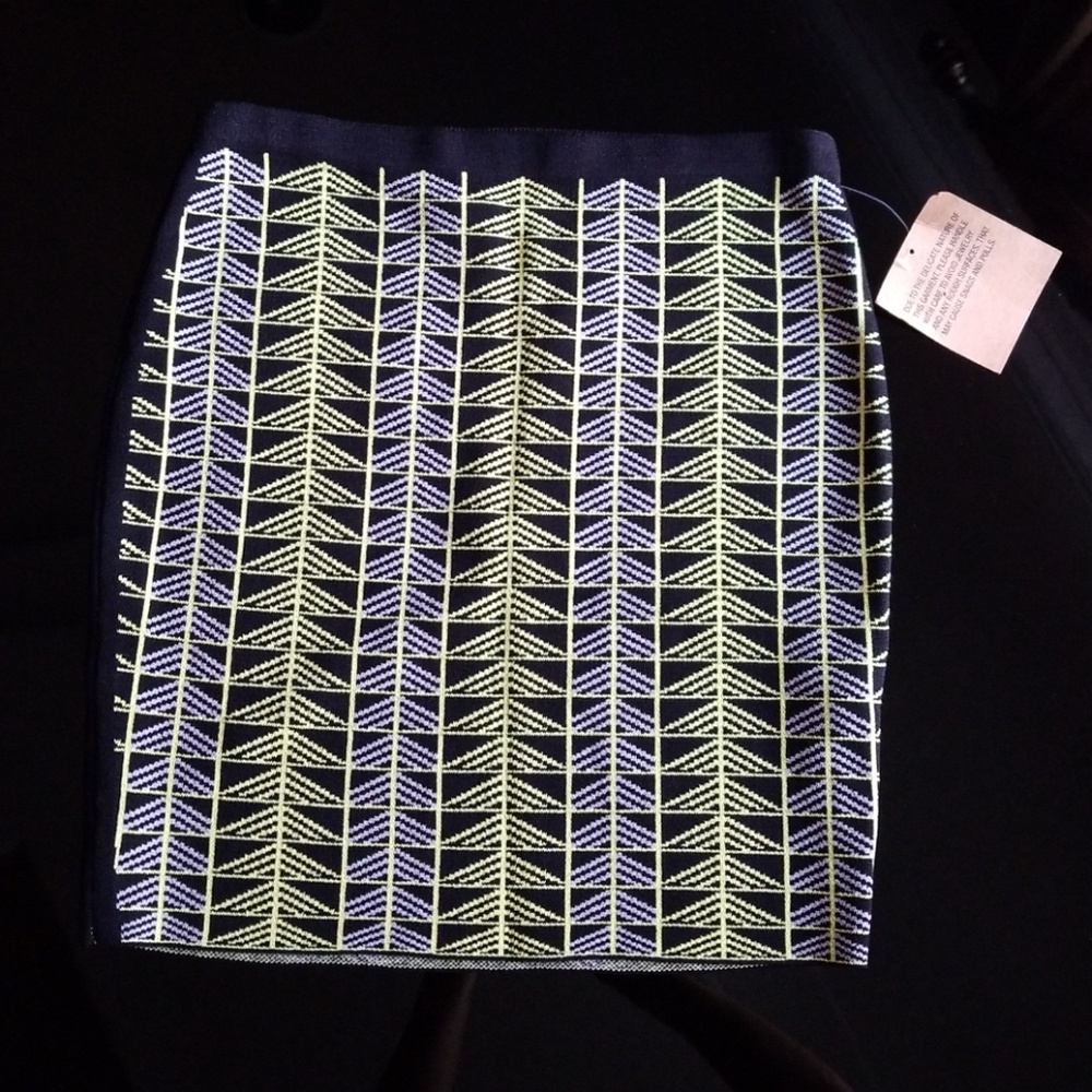 Rachel Roy skirt
